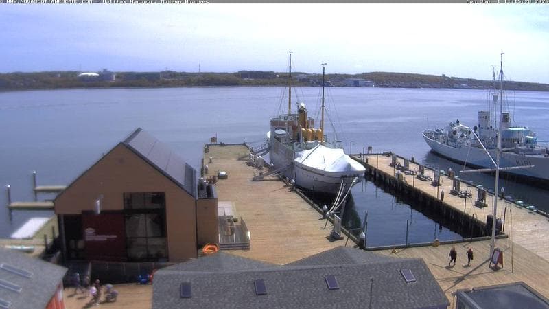 Museum Wharves
