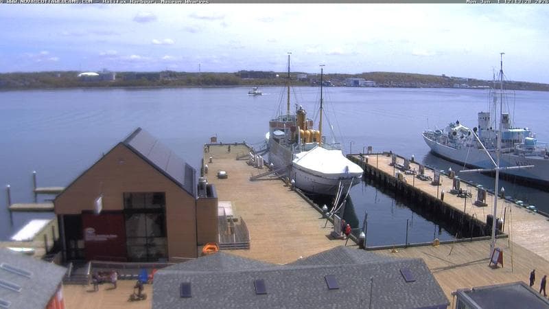 Museum Wharves