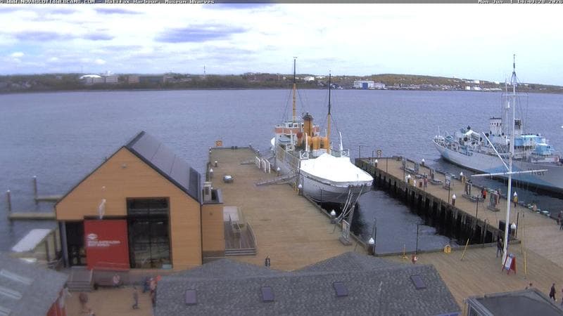 Museum Wharves