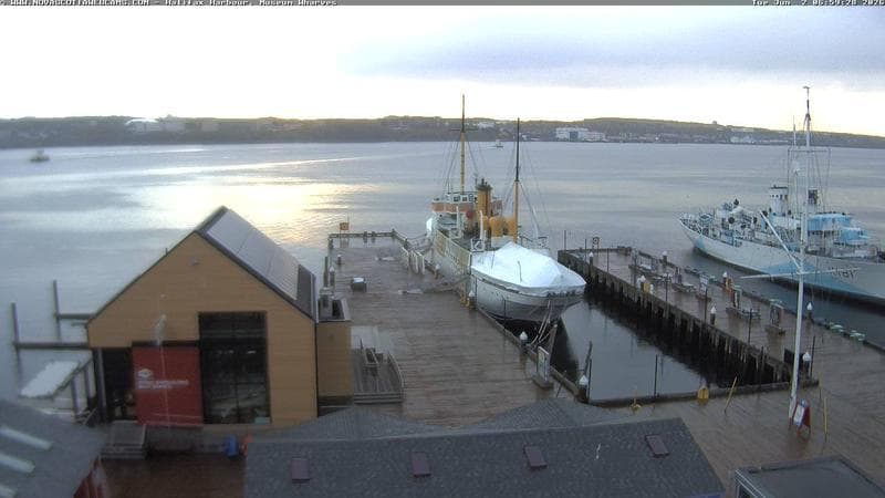 Museum Wharves