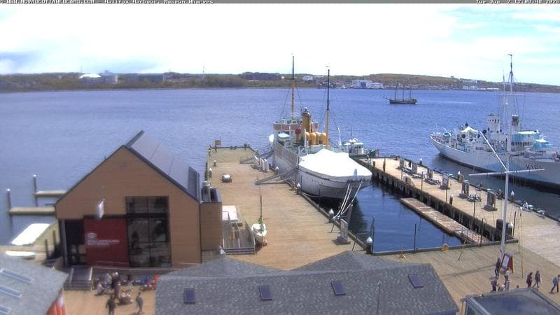 Museum Wharves