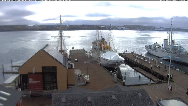 Museum Wharves