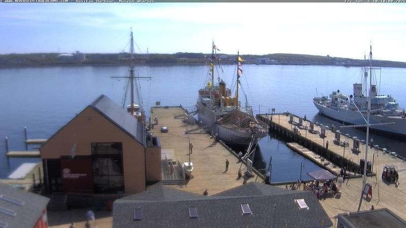 Museum Wharves