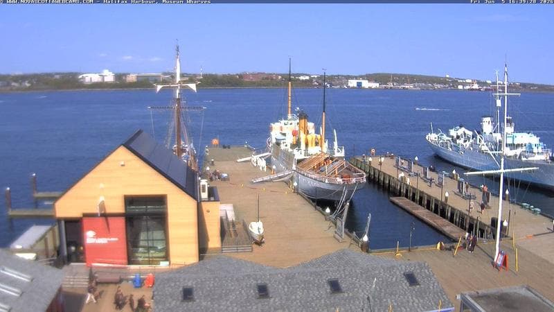 Museum Wharves