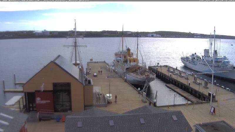 Museum Wharves