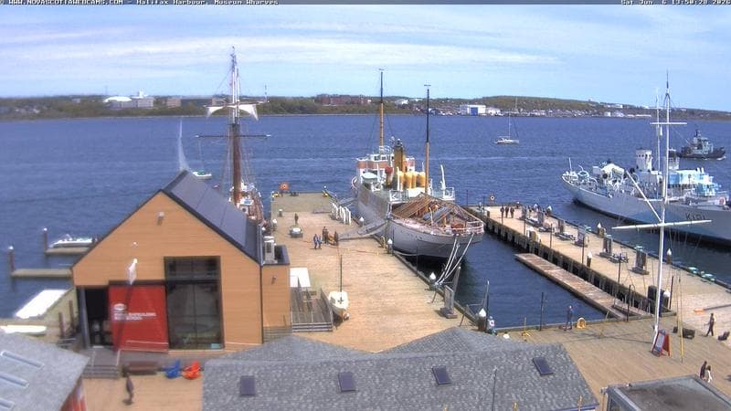 Museum Wharves