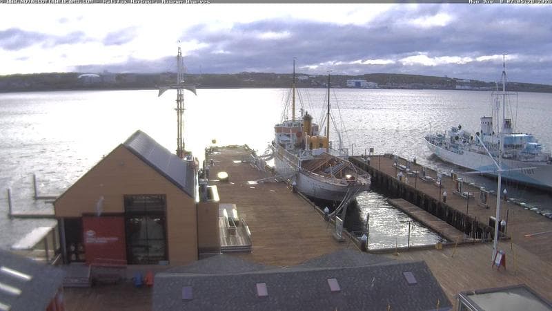 Museum Wharves