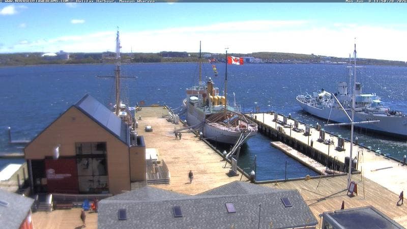 Museum Wharves