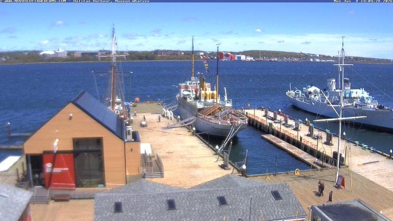 Museum Wharves