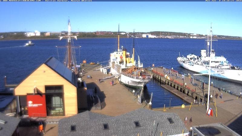 Museum Wharves