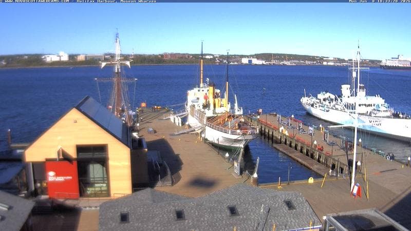 Museum Wharves