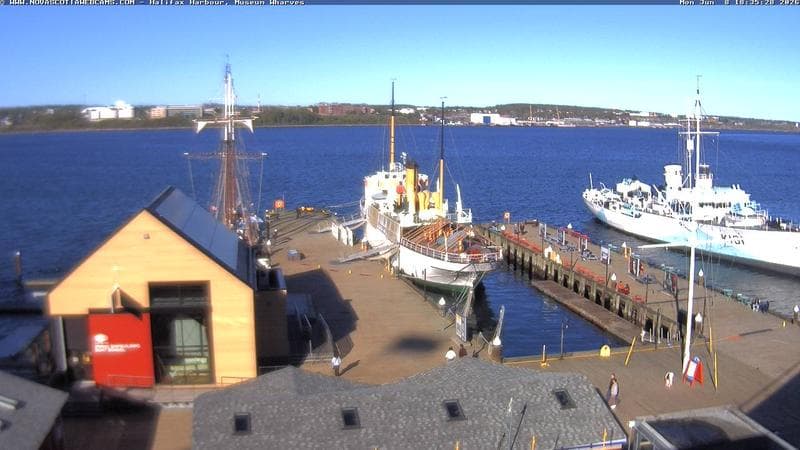 Museum Wharves