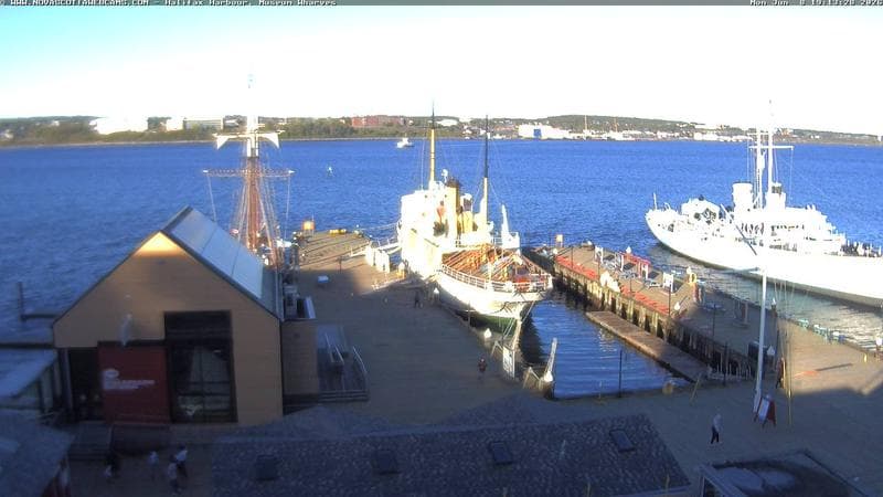 Museum Wharves
