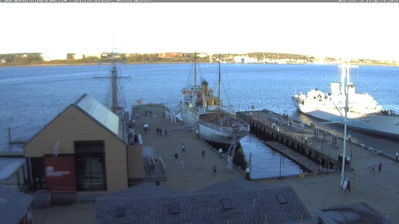 Museum Wharves