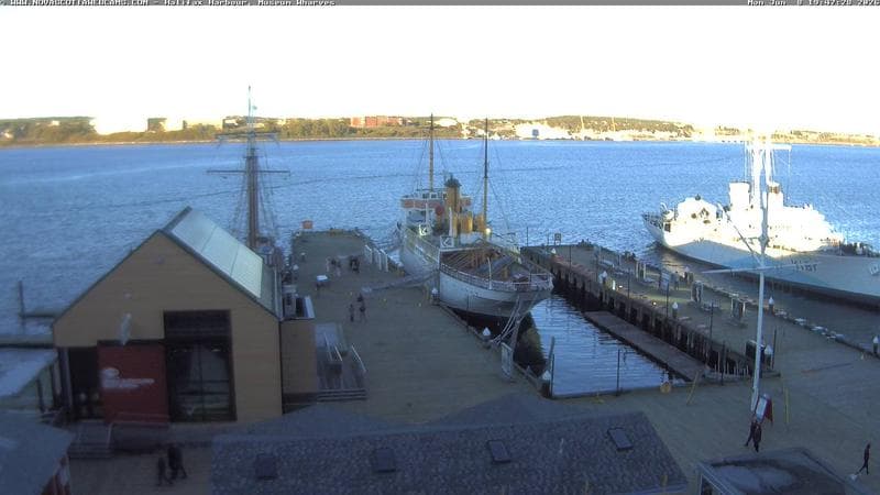 Museum Wharves