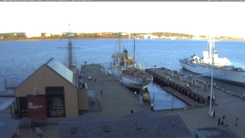 Museum Wharves
