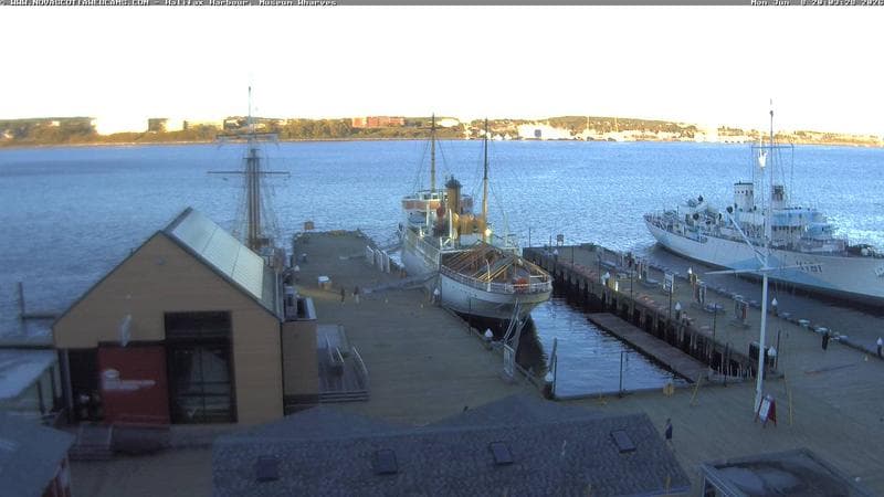Museum Wharves