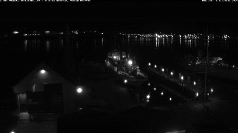 Museum Wharves