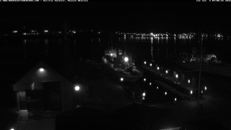 Museum Wharves