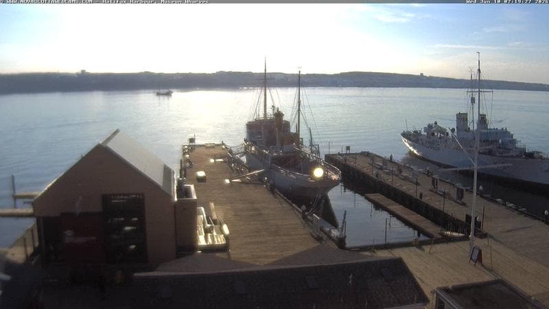 Museum Wharves