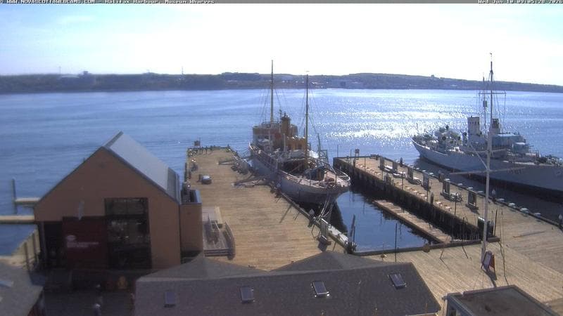 Museum Wharves