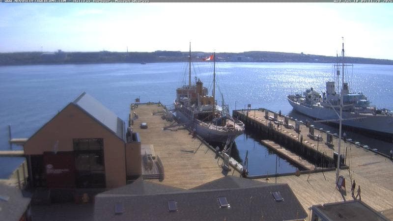 Museum Wharves