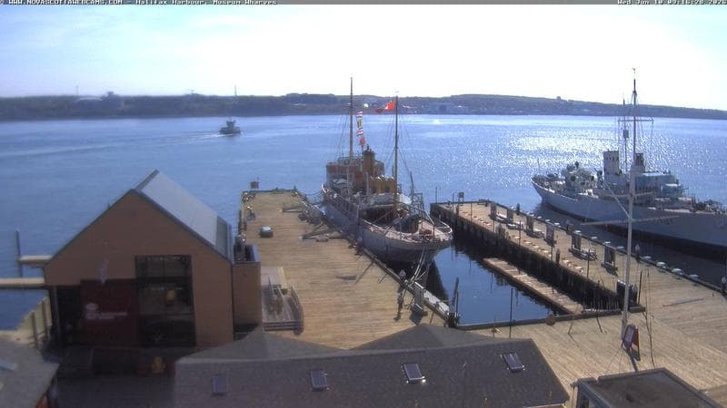 Museum Wharves