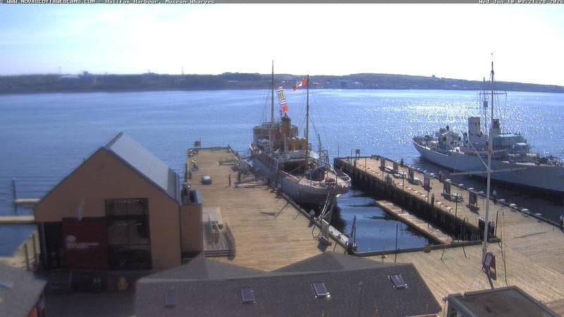 Museum Wharves
