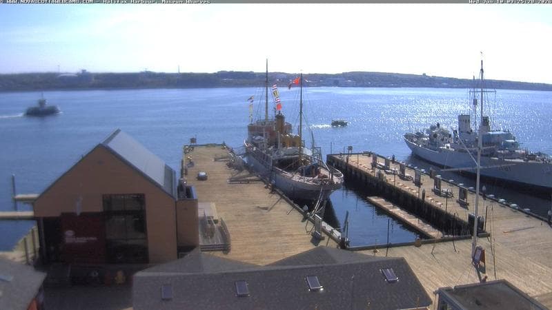Museum Wharves