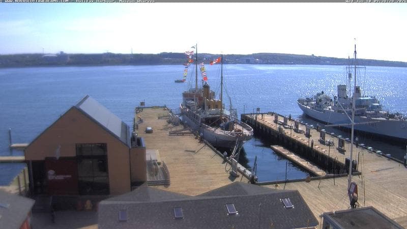 Museum Wharves