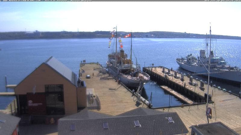Museum Wharves