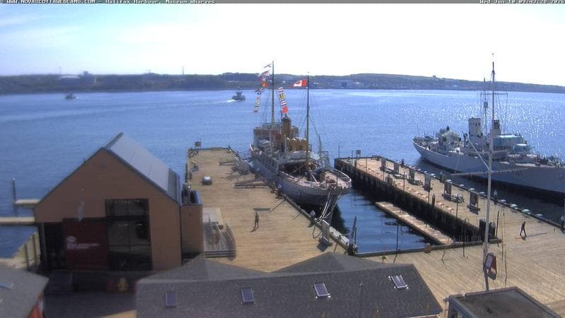 Museum Wharves