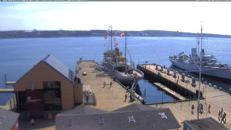 Museum Wharves