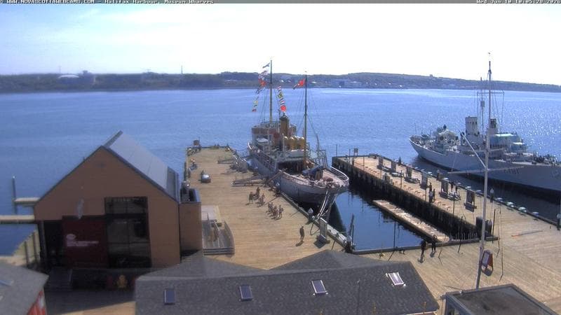 Museum Wharves