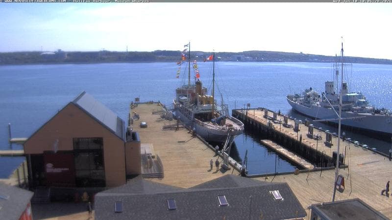 Museum Wharves