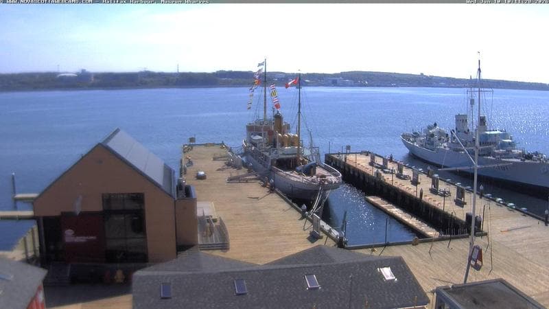 Museum Wharves