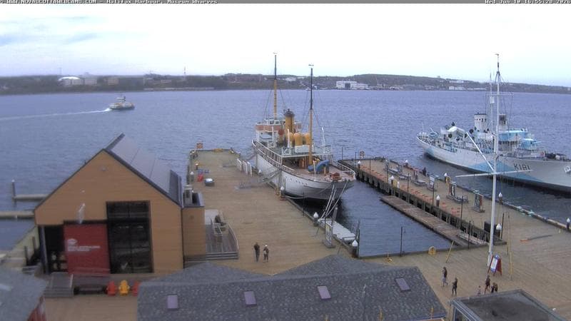 Museum Wharves