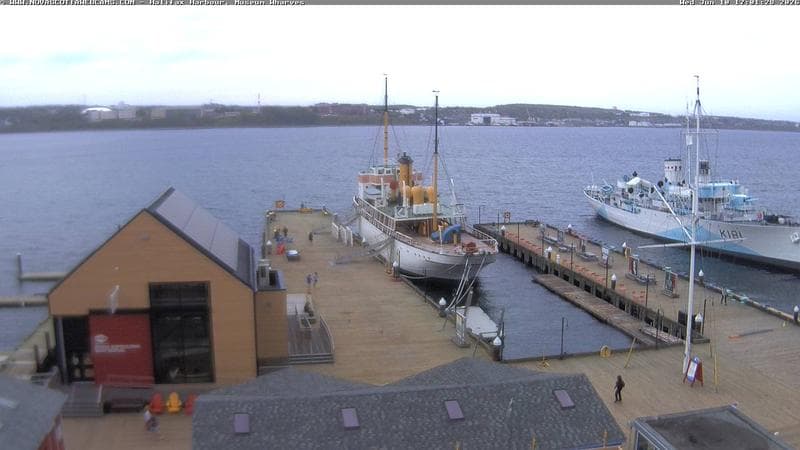 Museum Wharves