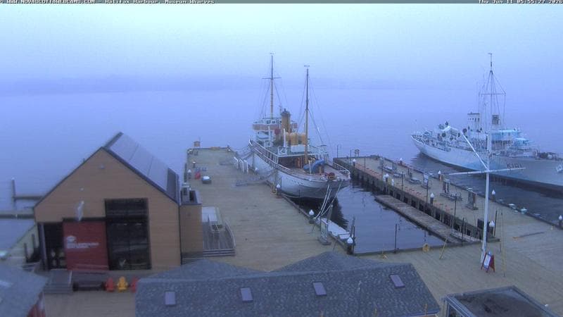 Museum Wharves