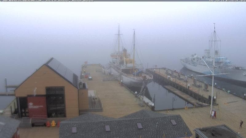Museum Wharves