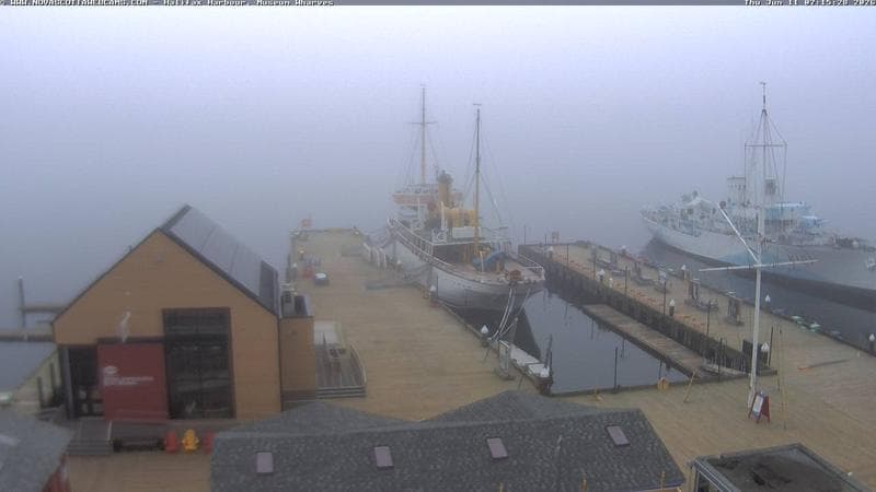 Museum Wharves