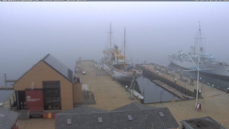 Museum Wharves