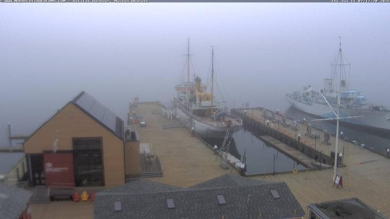 Museum Wharves