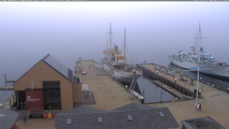 Museum Wharves