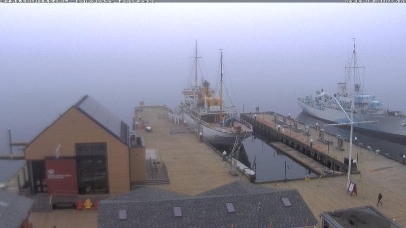 Museum Wharves