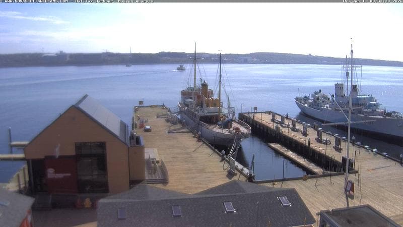 Museum Wharves