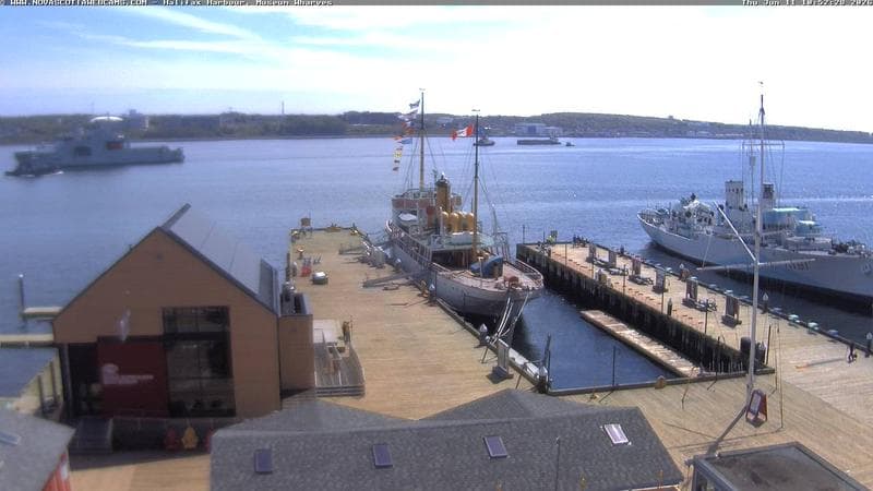 Museum Wharves