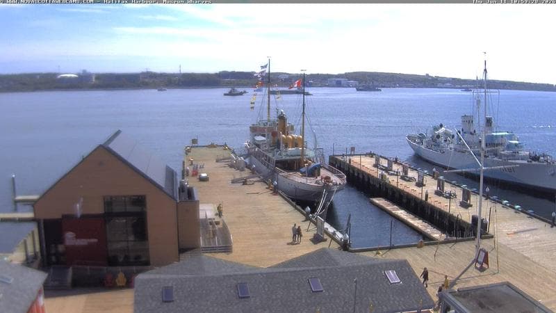 Museum Wharves