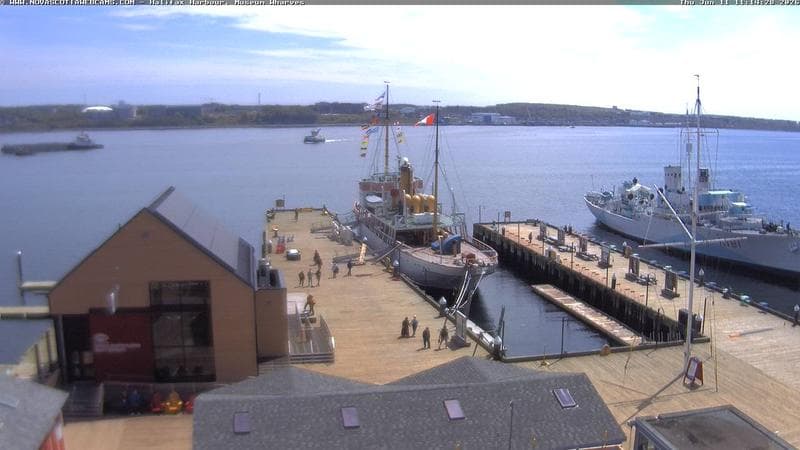 Museum Wharves