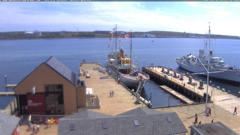 Museum Wharves